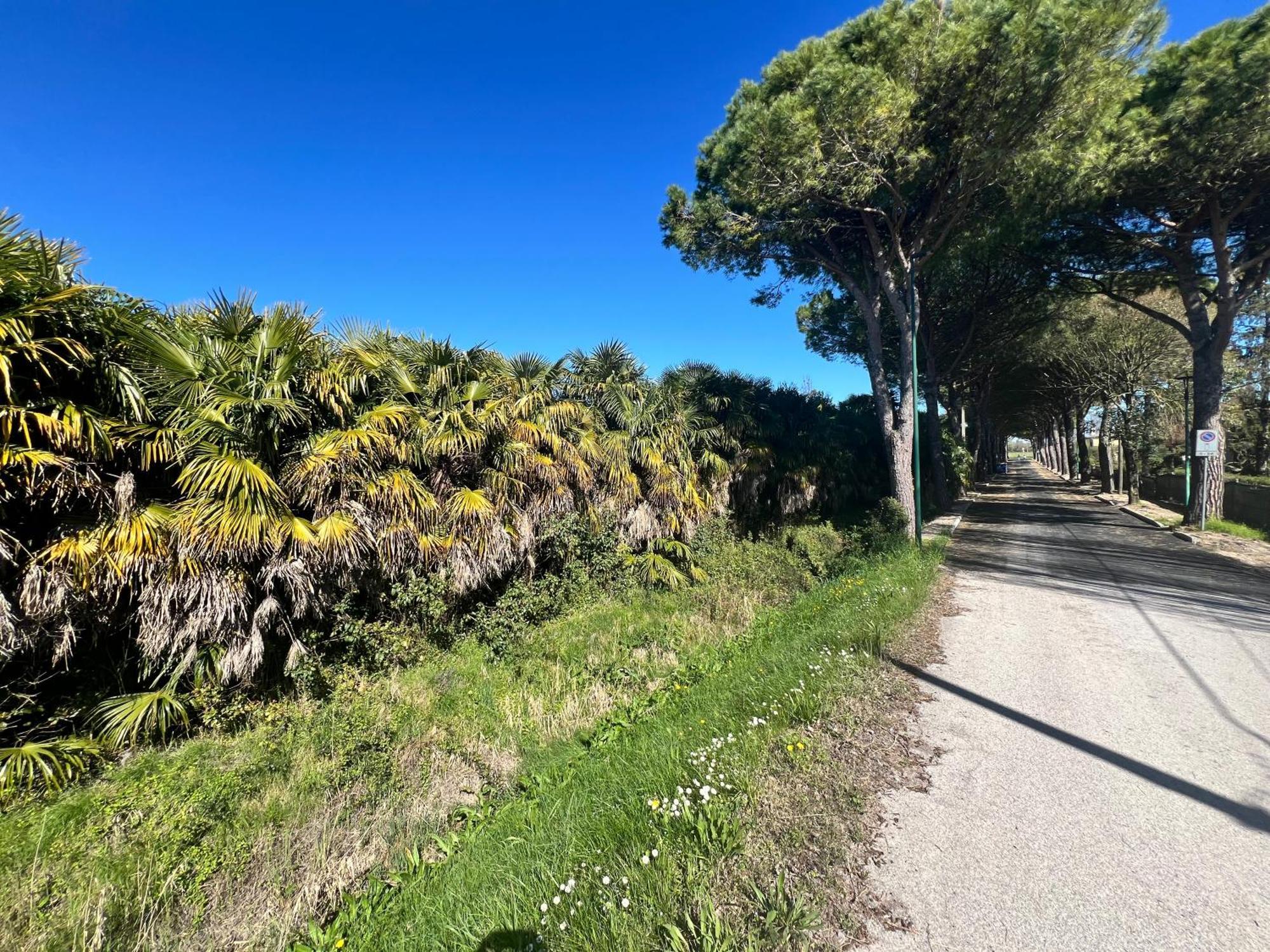 Villa Egles - Villa Con Giardino A Lignano Sabbiadoro Buitenkant foto