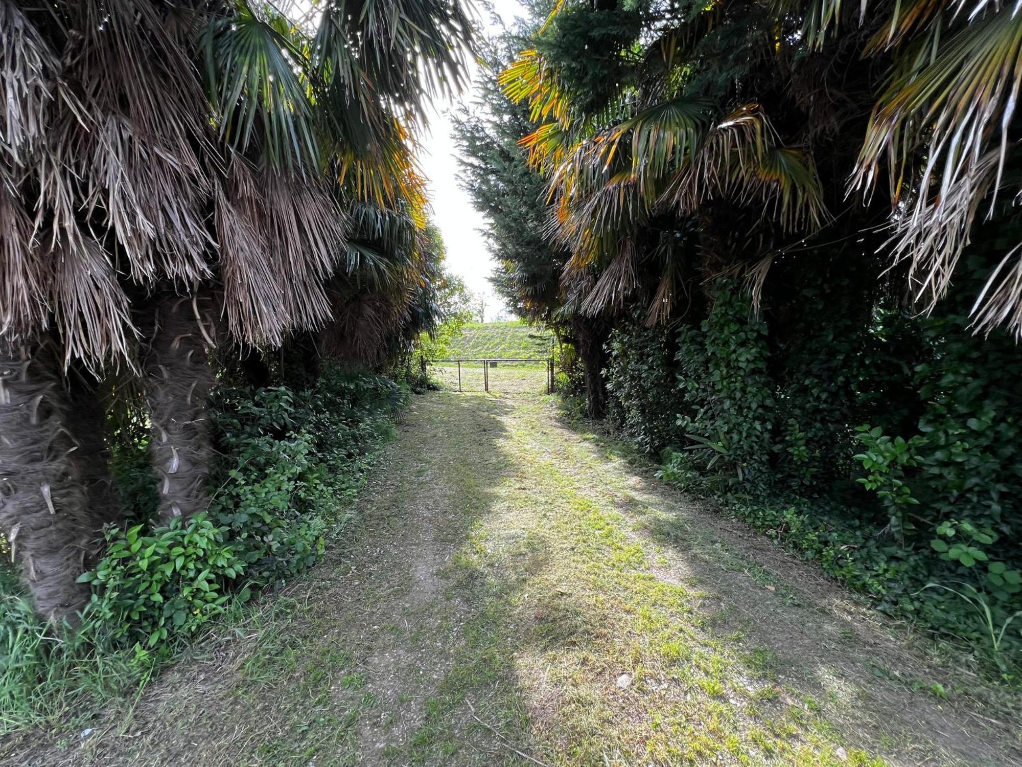 Villa Egles - Villa Con Giardino A Lignano Sabbiadoro Buitenkant foto