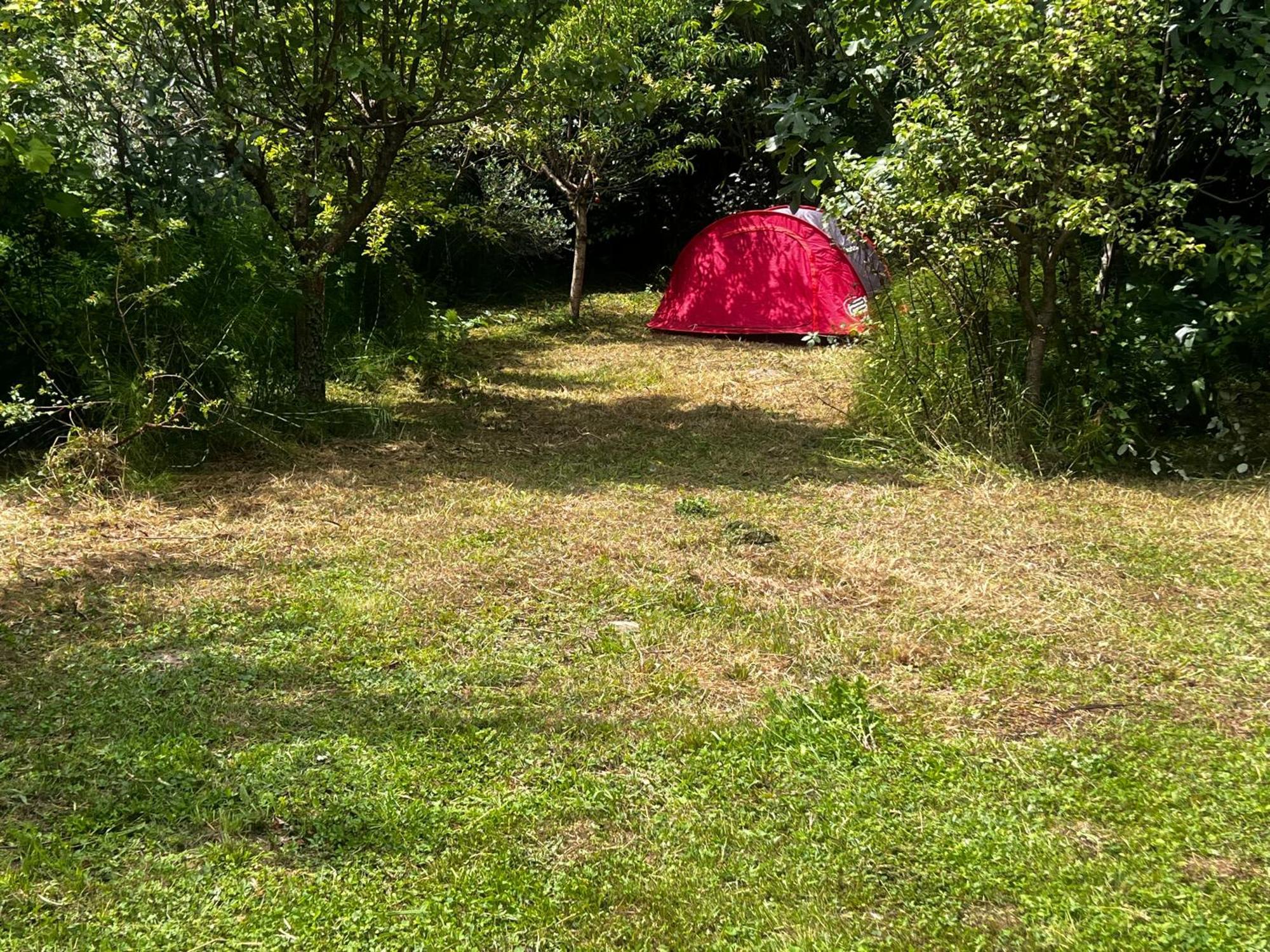 Villa Egles - Villa Con Giardino A Lignano Sabbiadoro Buitenkant foto